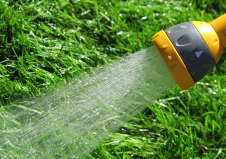 Россиян предупредили об огромных штрафах за опрыскивание дачи от вредителей