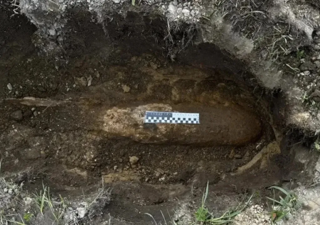 В Ленобласти уничтожили авиабомбу времен Великой Отечественной войны