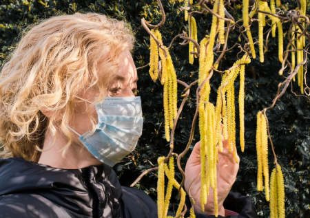 Затишье перед бурей? Пыльца в Москве сегодня — 24 апреля