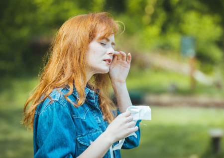 Березовый штиль: пыльца в Москве сегодня — прогноз на 25 апреля