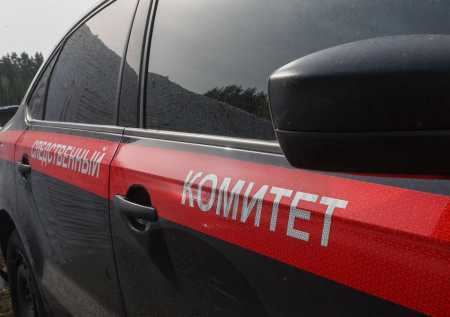 В российском регионе нашли изувеченные тела матери и годовалого ребенка