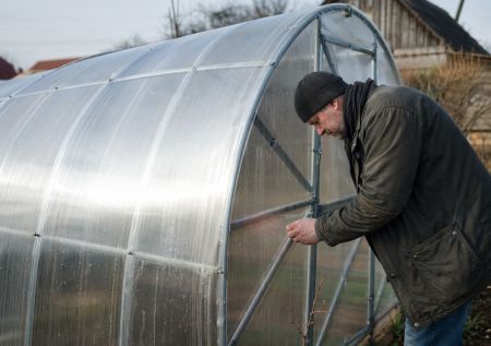 Подготовка теплицы к новому сезону: 5 шагов — ремонт, мойка, дезинфекция
