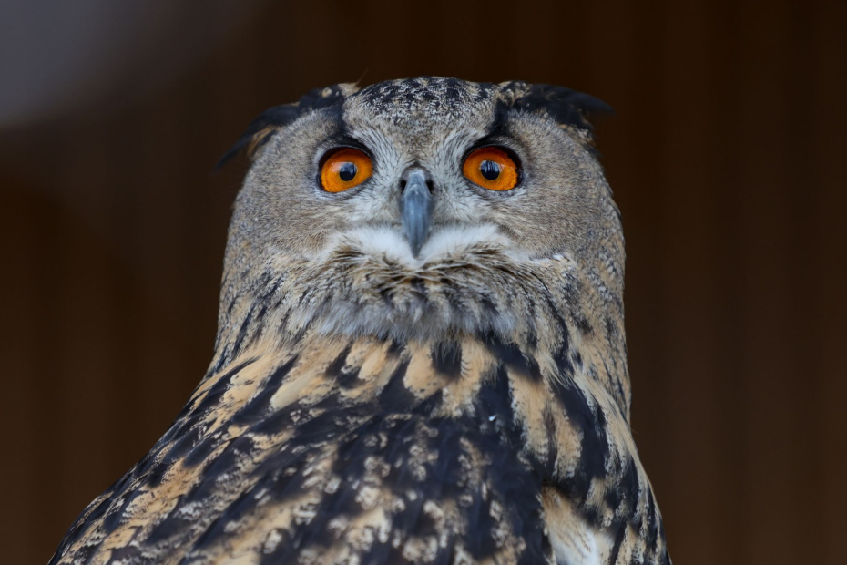 Что можно и нельзя делать 24 апреля