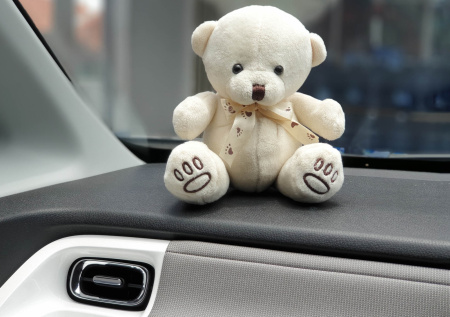 Автоюрист напомнил, за какой декор в машине грозит штраф