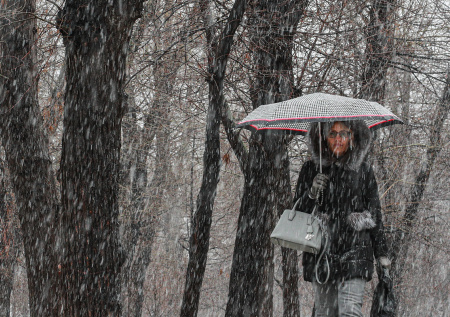 От –2 до +10, снег, дожди: погода в Москве и Питере с 27 апреля по 3 мая
