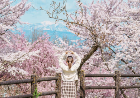 Одна азиатская страна ужесточила визовый контроль для россиян