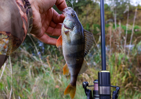 Крупный предприниматель в сфере строительства пропал на рыбалке