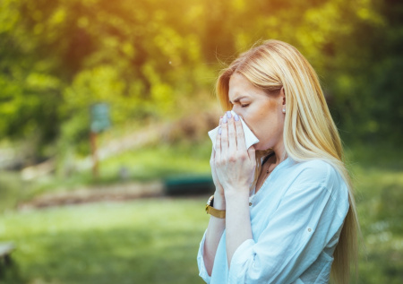 Все ближе к березовому пику: пыльца в Москве сегодня — на 26 апреля