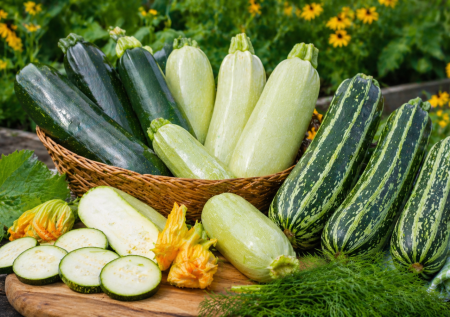 Кабачки «Дядя Федор» и еще 4 сорта: едим все лето, еще и замораживаю — хороши и для блюд, и для хранения