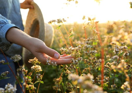 Российская молодежь все чаще ударяется в фермерство