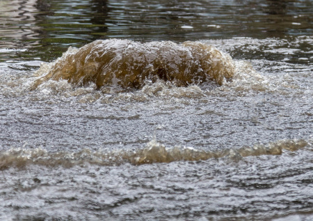 Уфимский магазин коллекционных пластинок погрузился в фекалии