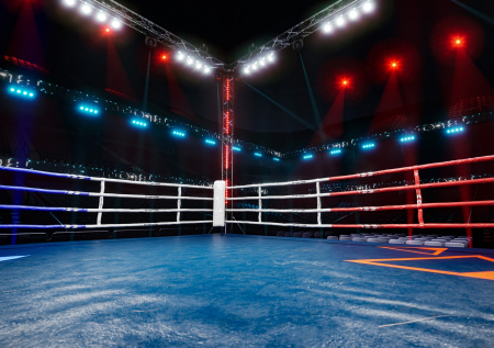 Фанаты устроили массовую драку из-за победы российского боксера