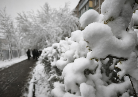 В Москве объявили «оранжевый» уровень погодной опасности