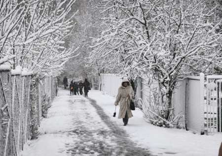 В Сети появились кадры засыпанного снегом Подмосковья