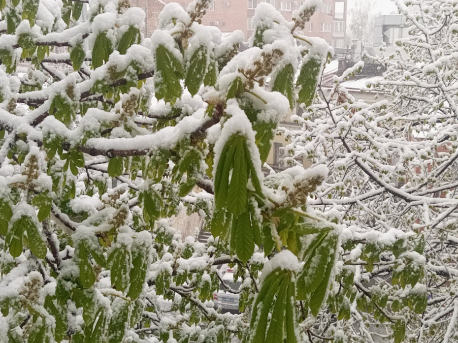 Снегопад в Москве