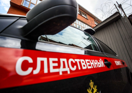 В Самаре возбудили дело после гибели ребенка из-за упавшего дерева