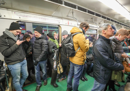 Дерево парализовало движение поездов на синей ветке метро