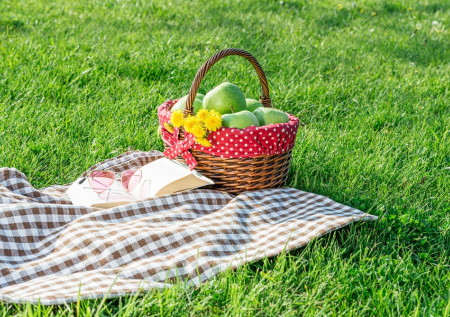 Метеоролог назвала наиболее удачный день для пикников в Москве