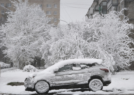 Деревья упали на машины в Балашихе из-за непогоды