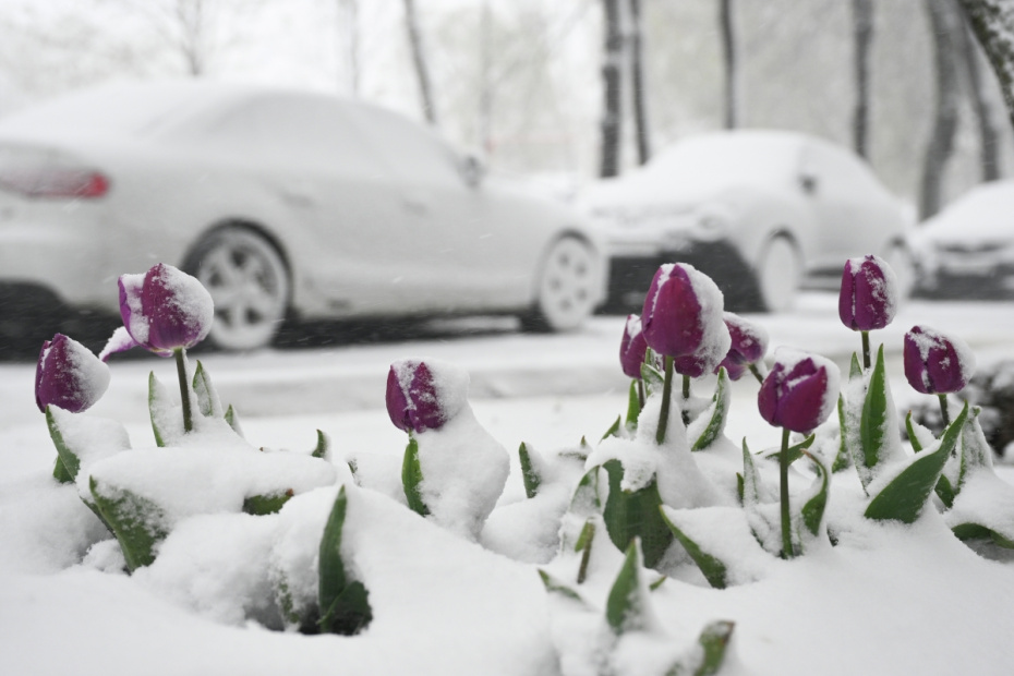 Снегопад в Москве