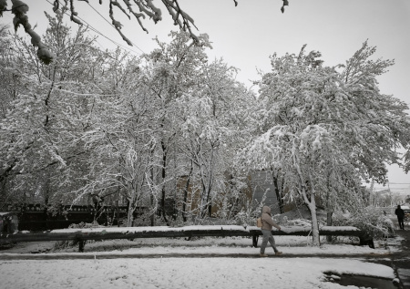 «Зимние пейзажи апреля»: заснеженную Москву сфотографировали из космоса
