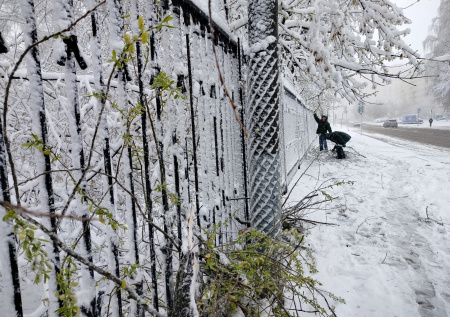 Названа причина апрельских снегопадов в Европейской части России