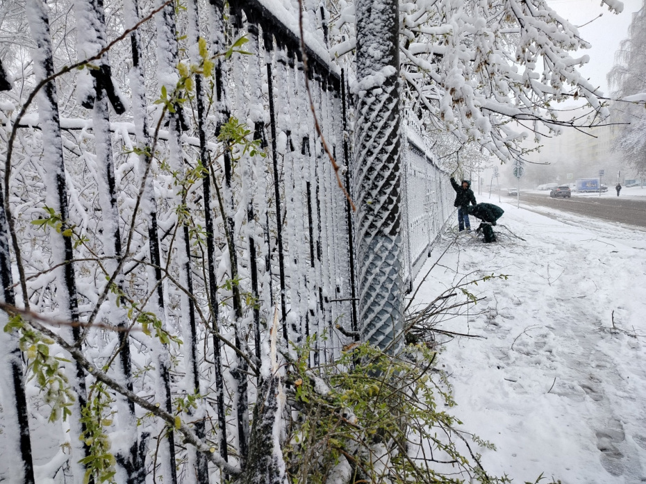 Снегопад в Москве