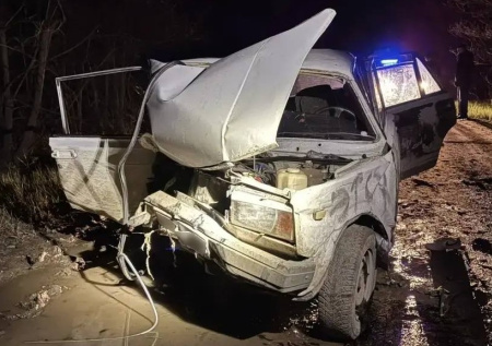 Шесть человек пострадали при опрокидывании автомобиля под Саратовом