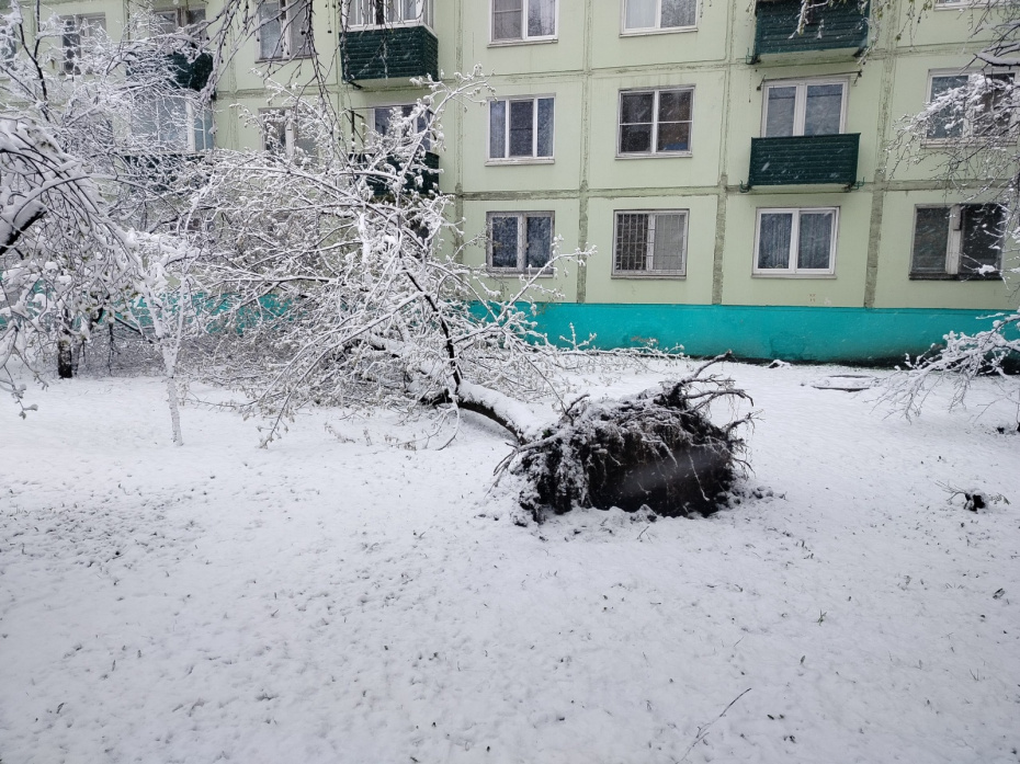 Снегопад в Москве