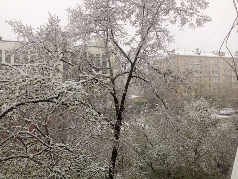 Снегопад в Москве
