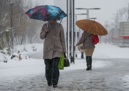 Синоптик рассказал, сколько осадков выпало в Московском регионе за сутки