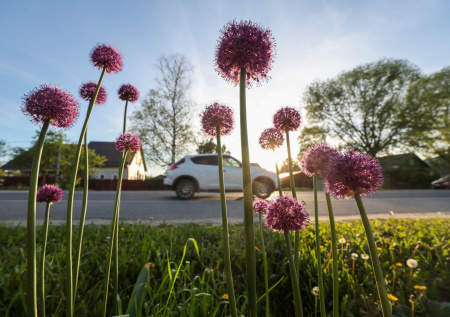 Пора собираться на шашлыки? Погода в Москве на майские праздники