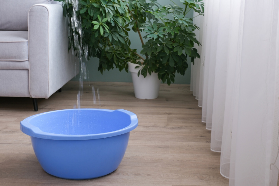 Кому жаловаться, если затопили соседи