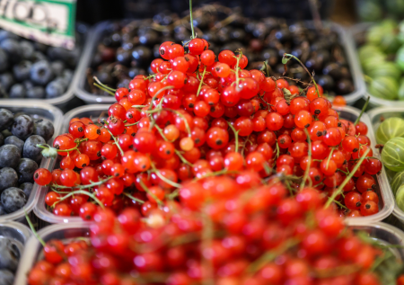 Россиянам перечислили лучшие продукты для здоровья почек