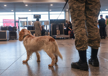 В России нашли решение для защиты аэропортов и вокзалов