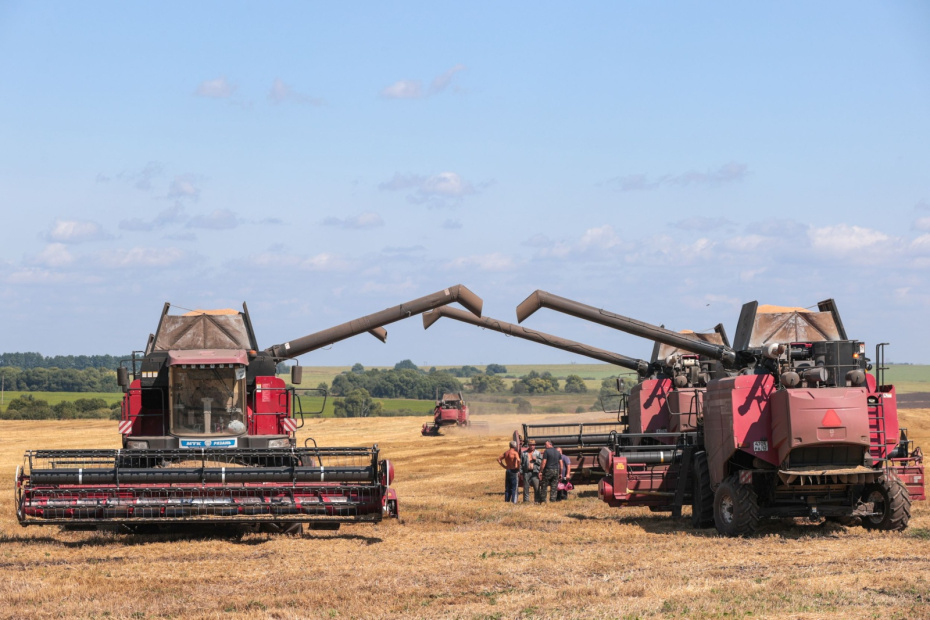 Уборка урожая пшеницы