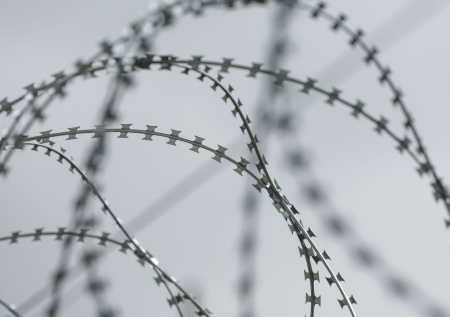 Экс-главу крупной букмекерской компании отправили в колонию