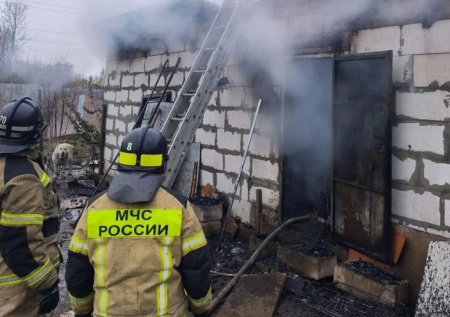 Названа причина пожара, в котором погибли 200 собак