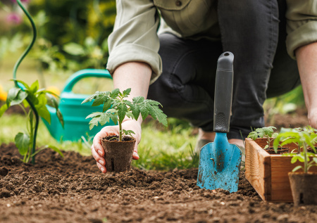 Приметы 1 мая — Еремей Запрягальник: нельзя лениться, срочно в огород!