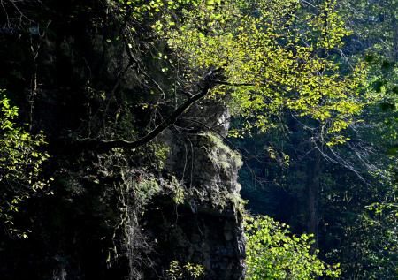 Названы необычные места под Краснодаром для отдыха на майские праздники