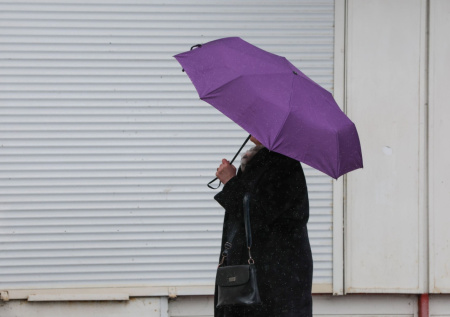 Тишковец спрогнозировал погоду в Москве на май