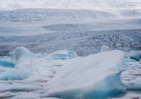 Академик ответил, опасны ли для человека вирусы из вечной мерзлоты