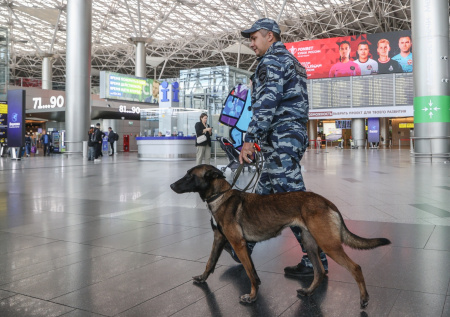 Пассажир авиарейса пойдет под суд за нападение на полицейского