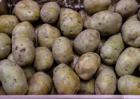 В Госдуме ответили, когда лучше сажать картошку