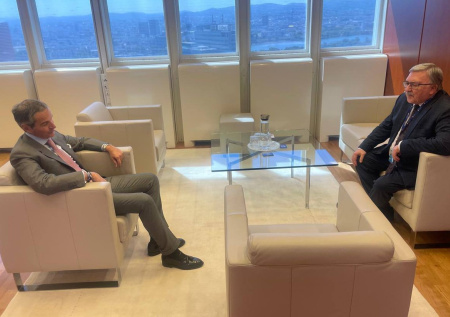 Постпред России в Вене обсудил с главой МАГАТЭ Украину и Иран