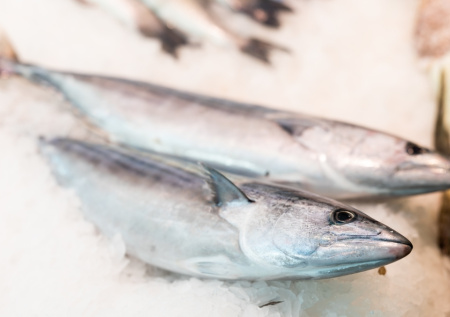Повар ответил, почему скумбрия в магазинах продается без икры