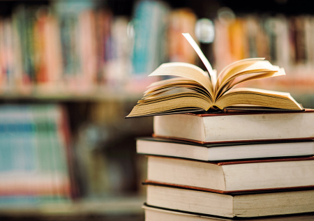 Экстремистскую литературу нашли среди детских книг из Британии