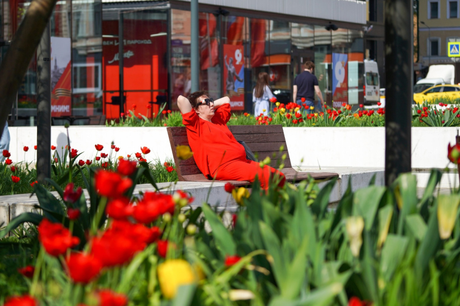 Жаркая погода в Москве