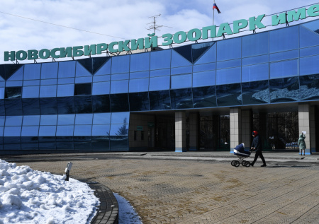 В зоопарке Новосибирска объяснили баннер к 9 Мая с орангутаном