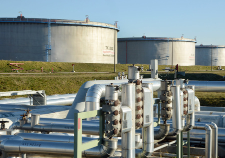 Немецкий политик раскрыл, когда Германия останется без нефти